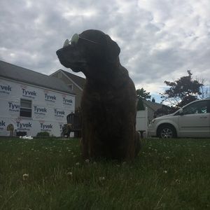 Meet your Posher, Jaymie